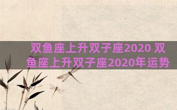 双鱼座上升双子座2020 双鱼座上升双子座2020年运势